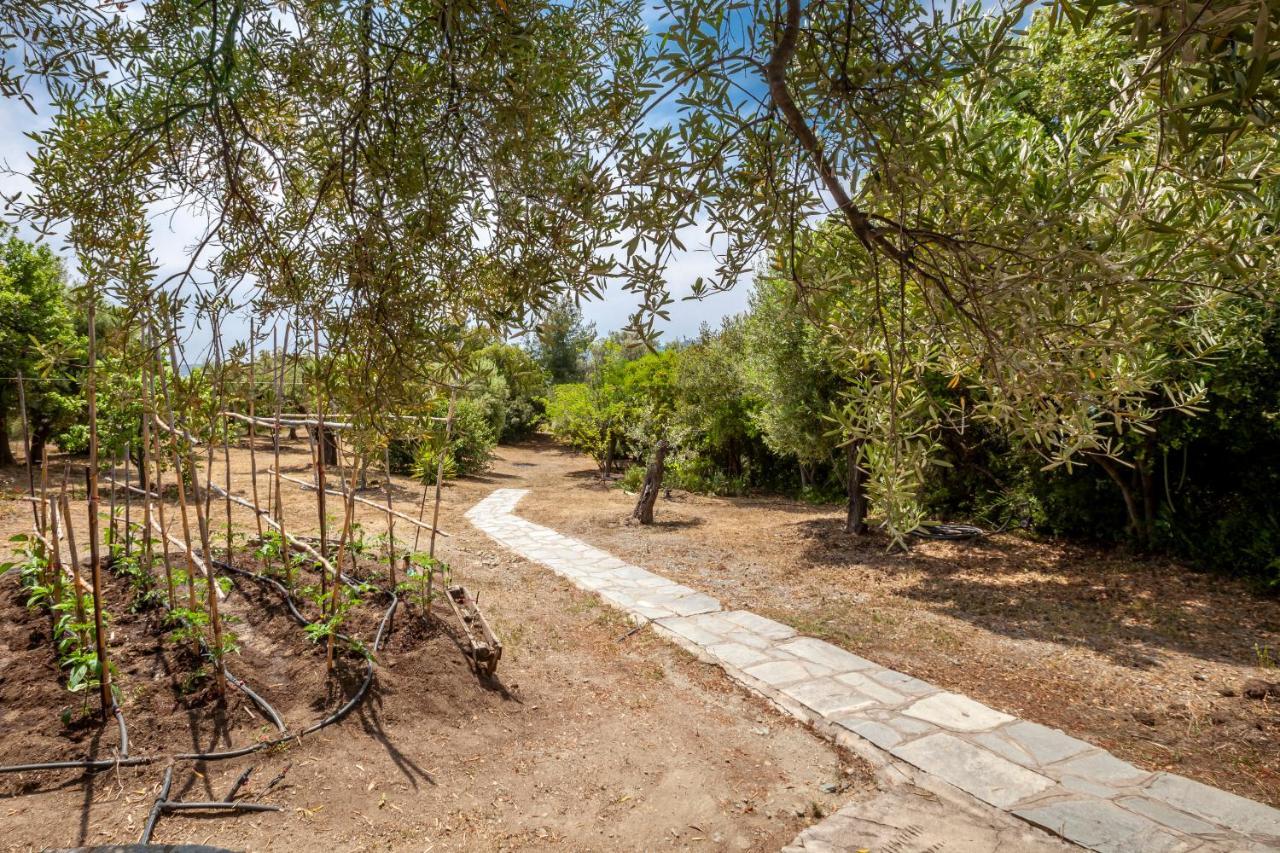 Hidden Gem Sithonia Villa Metochi Agias Kiriakis Bagian luar foto
