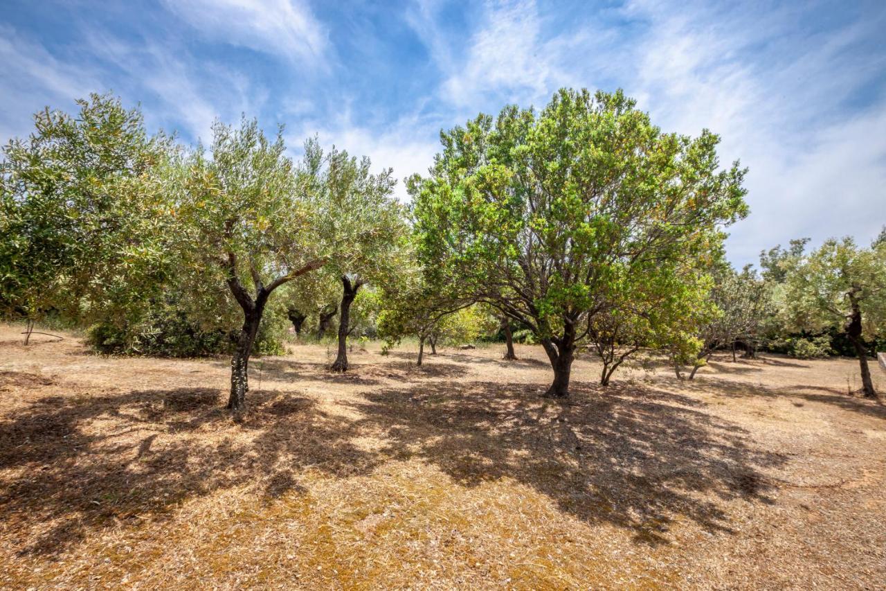 Hidden Gem Sithonia Villa Metochi Agias Kiriakis Bagian luar foto
